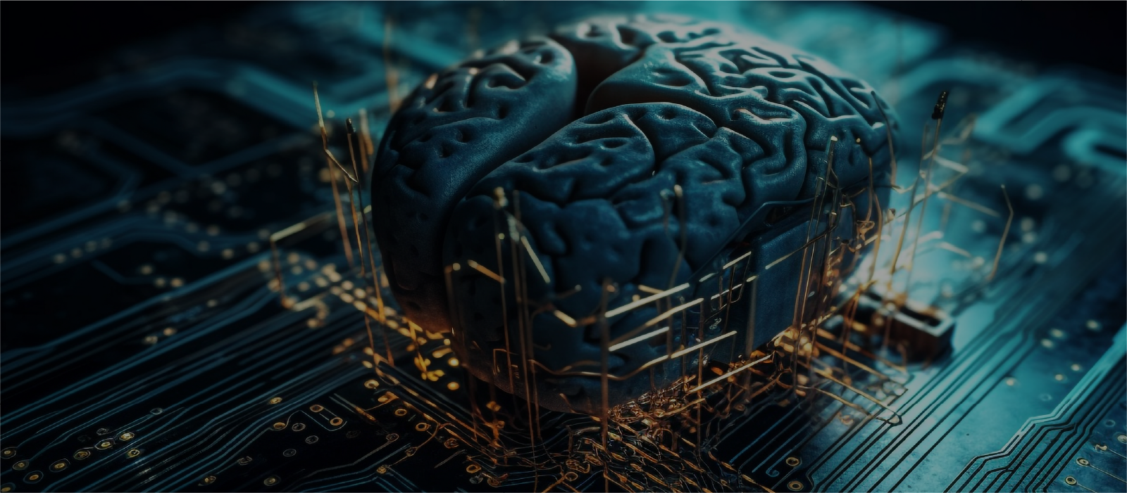 <p>Aumente a sua empregabilidade...</p>